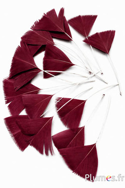 Verenblaadjes - 6-8 x 3-4 cm - bordeaux